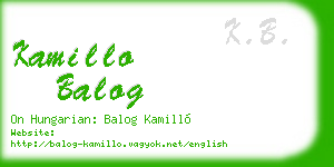kamillo balog business card